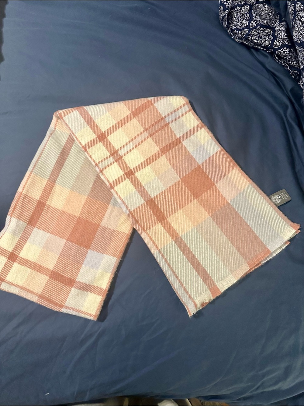 Vince Camuto Plaid Rose Pink and Blue/Gray   Scarf